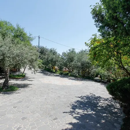 Feriehus Mirtagru Bilo Mare 2
